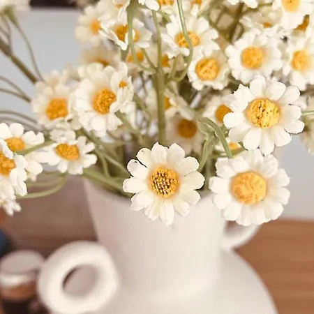 Arnados Appartamento *